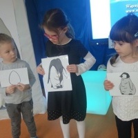 MIĘDZY NAMI PINGWINAMI (2)