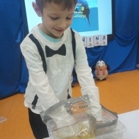 MIĘDZY NAMI PINGWINAMI (9)