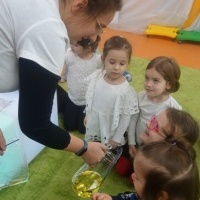 MIĘDZY NAMI PINGWINAMI (4)