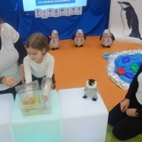 MIĘDZY NAMI PINGWINAMI (1)