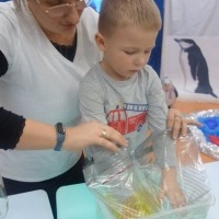 MIĘDZY NAMI PINGWINAMI (13)