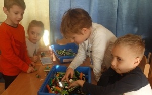 ROBOTYKA DLA SEZAMKA (12)