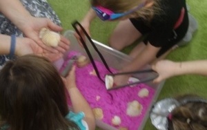 MAŁE SZPROTKI NA WIELKIM PODWODNYM BALU (13)
