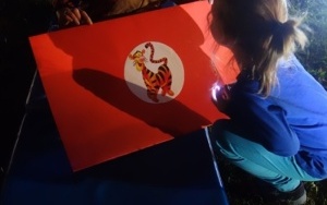 PRZYJACIELSKA NOC W PRZEDSZKOLU (14)