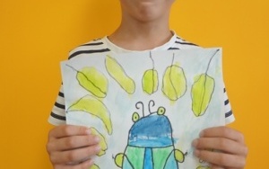 W ŚWIECIE OWADÓW (7)