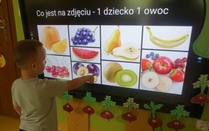 OWOCOWO WARZYWNE SMAKOŁYKI (5)
