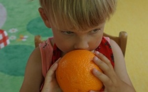 OWOCOWO WARZYWNE SMAKOŁYKI (7)