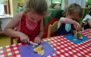OWOCOWO WARZYWNE SMAKOŁYKI (5)