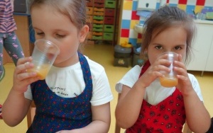 OWOCOWO WARZYWNE SMAKOŁYKI (10)