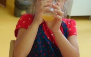 OWOCOWO WARZYWNE SMAKOŁYKI (11)