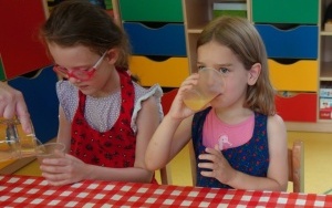 OWOCOWO WARZYWNE SMAKOŁYKI (13)