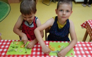 OWOCOWO WARZYWNE SMAKOŁYKI (5)