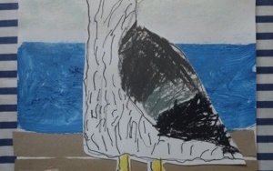 MEWY BIAŁE MEWY (4)