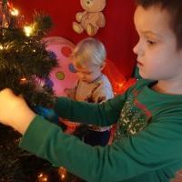 NA GAŁĄZCE CHOINKOWEJ (12)