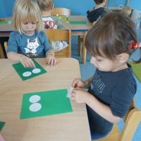 ŻABKI I CZAROWNICE (14)