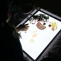 ŚWIETLISTE CZAROWANIE (2)
