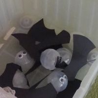 HALLOWEEN U ŻABEK (13)