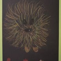 JESIENNE JEŻYKI (7)