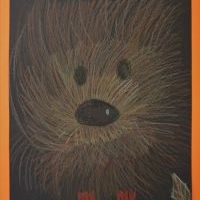 JESIENNE JEŻYKI (12)