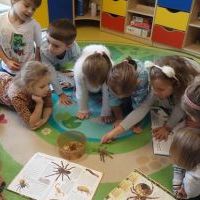 ZABAWA Z PAJĄKAMI (6)
