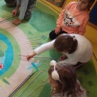 ZABAWA Z PAJĄKAMI (9)