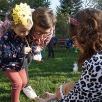 PASOWANIE NA SEZAMKA W KRAINIE DINOZAURÓW (5)