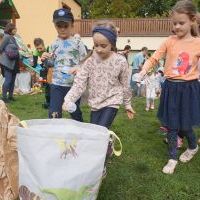 PASOWANIE NA SEZAMKA W KRAINIE DINOZAURÓW (12)