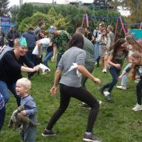 PASOWANIE NA SEZAMKA W KRAINIE DINOZAURÓW (10)