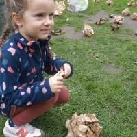 PASOWANIE NA SEZAMKA W KRAINIE DINOZAURÓW (12)