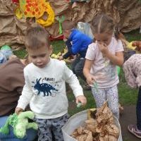 PASOWANIE NA SEZAMKA W KRAINIE DINOZAURÓW (14)
