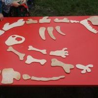 WYKOPALISKA PALEONTOLOGICZNE (3)