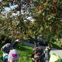 JESIENNY SPACER (10)