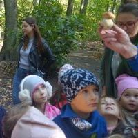 JESIENNY SPACER (11)