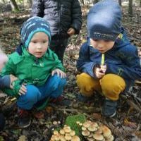 JESIENNY SPACER (3)
