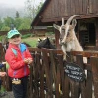 W KOZIEJ ZAGRODZIE (12)