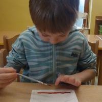 GÓRSCY PEJZAŻYŚCI (11)