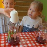 LEMONIADKA DLA MAMY (1)