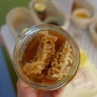 MIODOWA DEGUSTACJA (3)