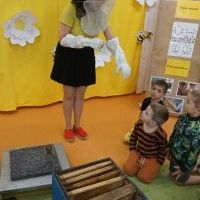 TAJEMNICE MAŁYCH PSZCZÓŁEK (1)