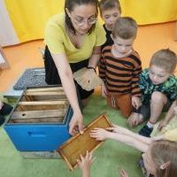 TAJEMNICE MAŁYCH PSZCZÓŁEK (7)
