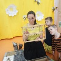 TAJEMNICE MAŁYCH PSZCZÓŁEK (9)
