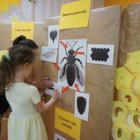TAJEMNICE MAŁYCH PSZCZÓŁEK (9)