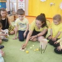 TAJEMNICE MAŁYCH PSZCZÓŁEK (15)