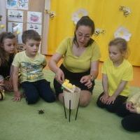 TAJEMNICE MAŁYCH PSZCZÓŁEK (1)