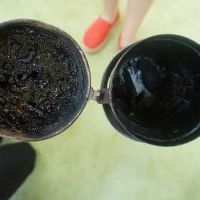 TAJEMNICE MAŁYCH PSZCZÓŁEK (14)