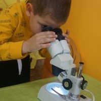 TAJEMNICE MAŁYCH PSZCZÓŁEK (7)