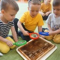 TAJEMNICE MAŁYCH PSZCZÓŁEK (14)