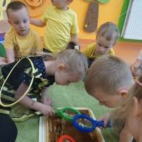 TAJEMNICE MAŁYCH PSZCZÓŁEK (15)