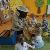 TAJEMNICE MAŁYCH PSZCZÓŁEK (8)
