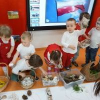 POLSKA NASZA NAJPIĘKNIEJSZA (12)
